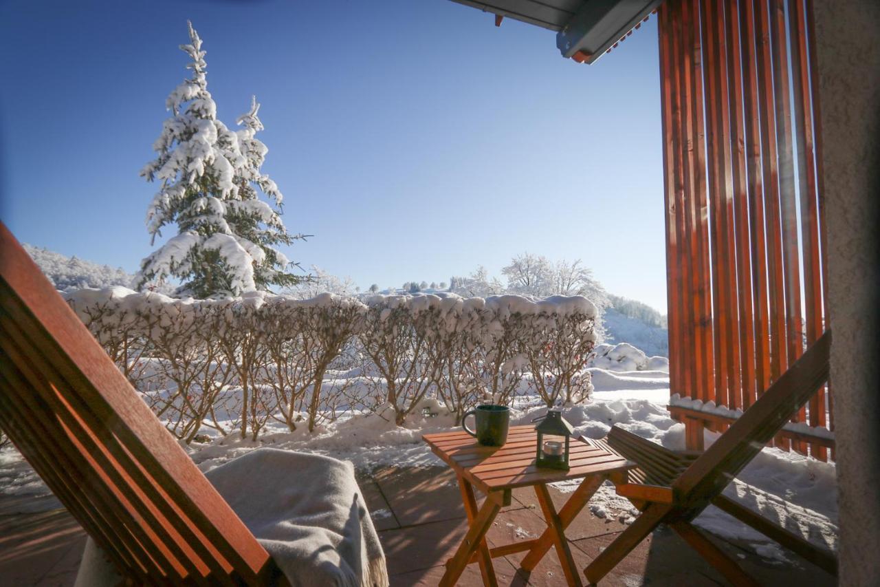 Harz Bnb Werkmeister Sankt Andreasberg Buitenkant foto
