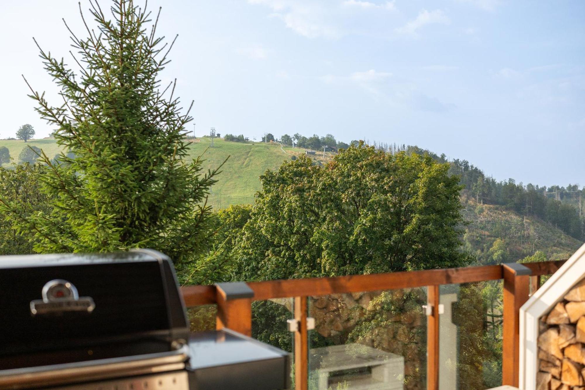 Harz Bnb Werkmeister Sankt Andreasberg Buitenkant foto